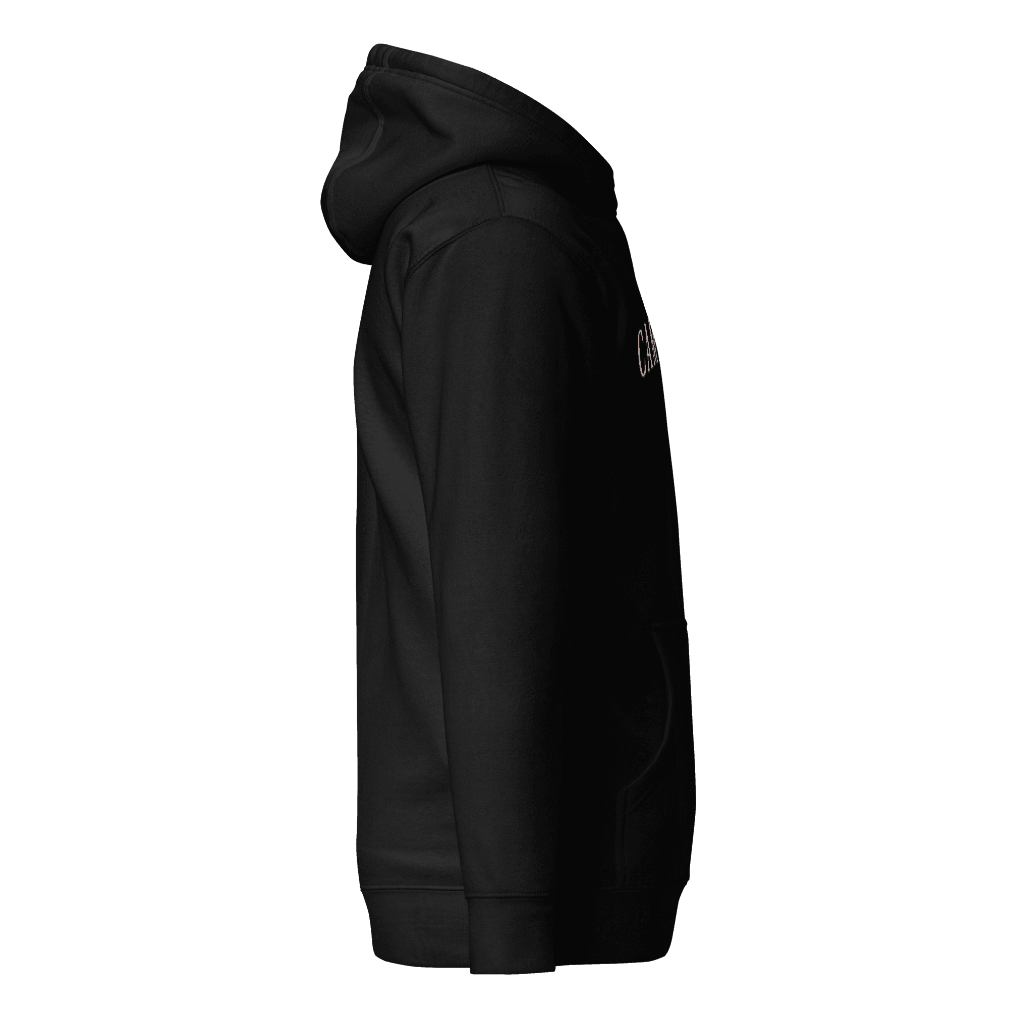 Alternate Campagne Arched Wordmark Hoodie Black view