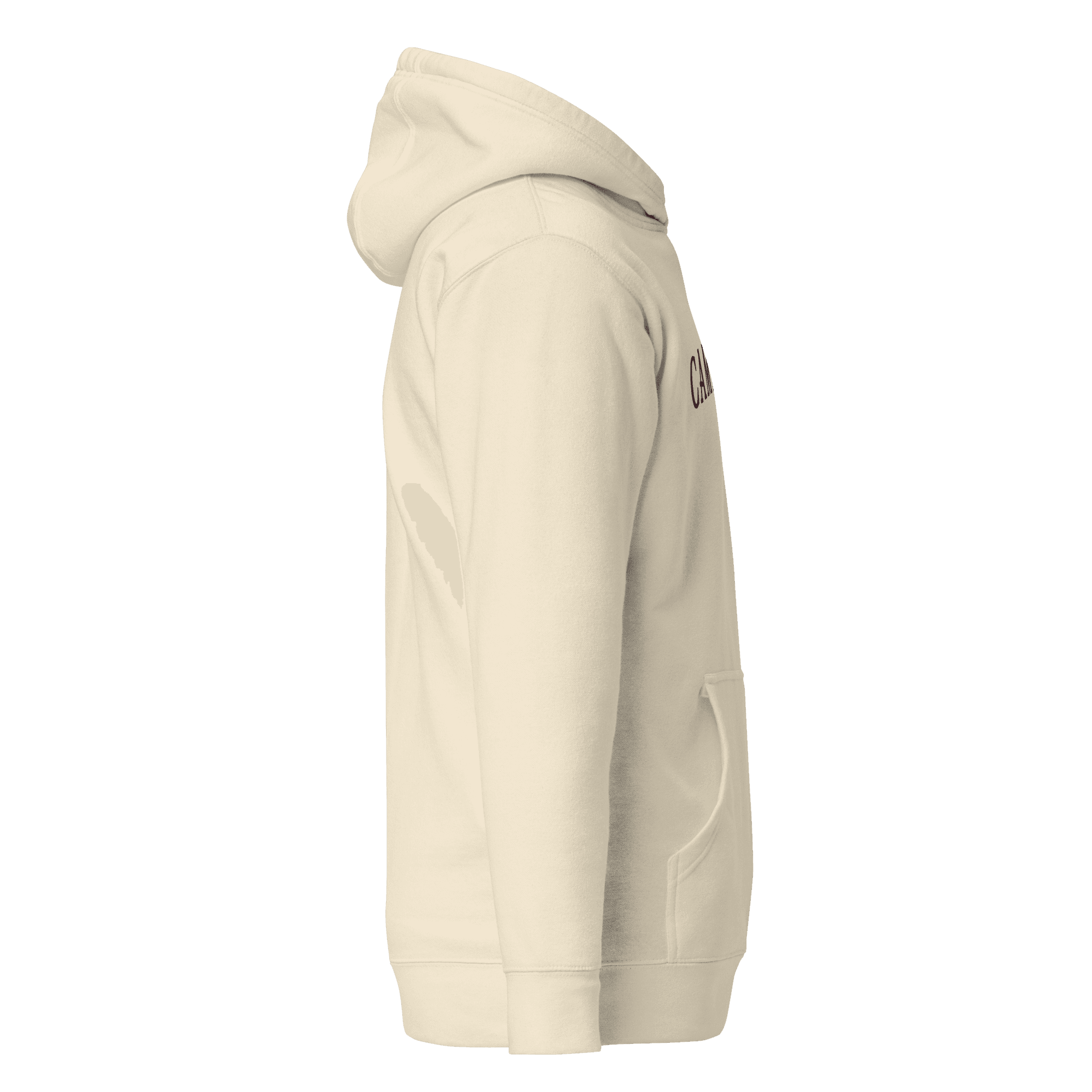Alternate Campagne Arched Wordmark Hoodie Bone view