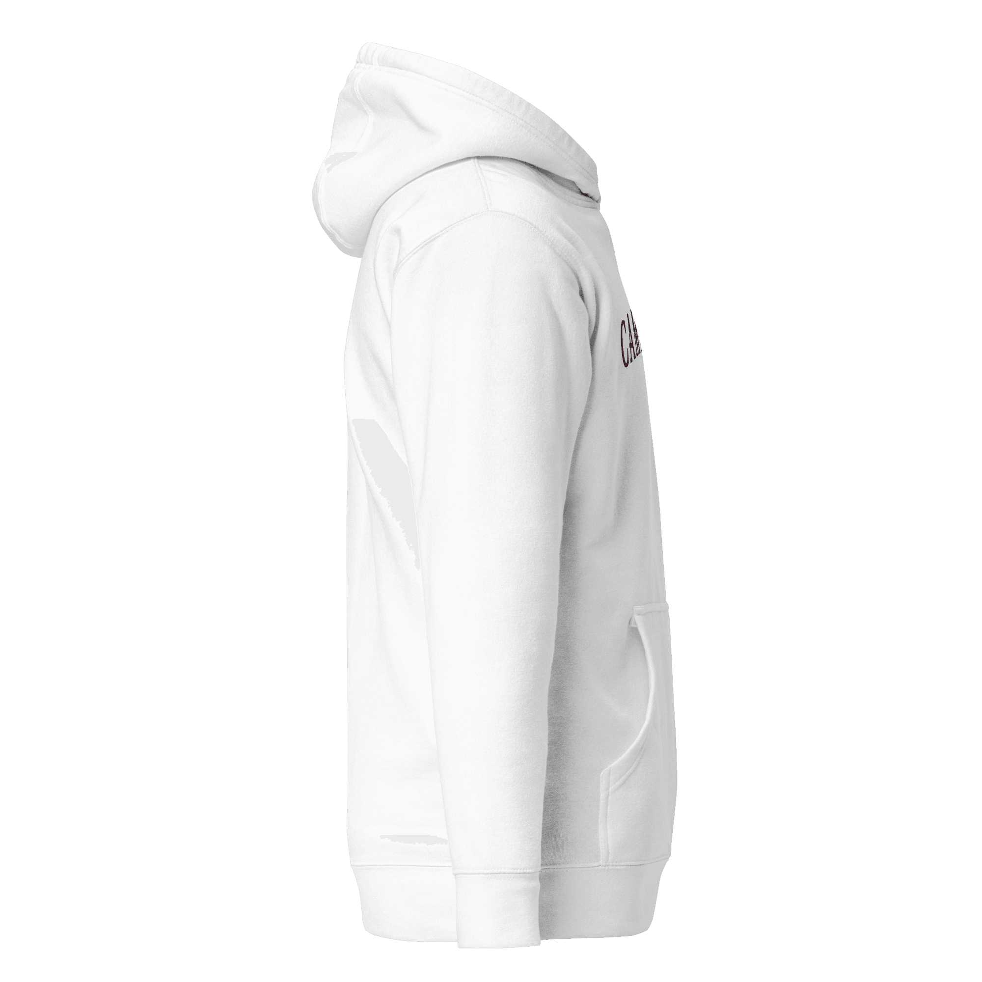 Alternate Campagne Arched Wordmark Hoodie White view